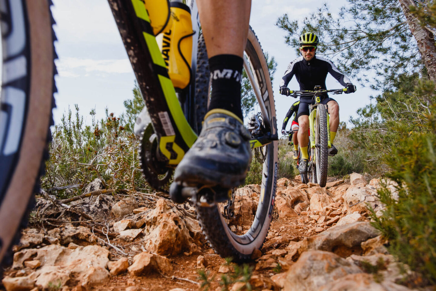 MTB and road bike rental and guided routes in